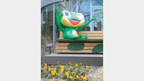 [고양이 눈]환호성