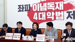 나경원 “연동형 비례제 핵심은 정의당 교섭단체 만드는 것”
