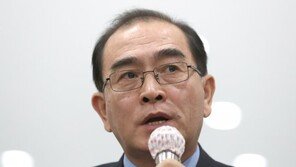 태영호 “김정은 입장 당장 안 나올 듯…北 협상 유지 전술”