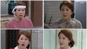 ‘하나뿐인 내편’ 차화연 “사모님계 완판녀? 시청자들께 감사”