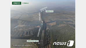 제주 비자림로 확장공사 7개월 만에 재개…“생태·경관 강화”