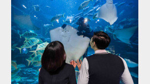한화아쿠아플라넷 학생 대상 할인 이벤트