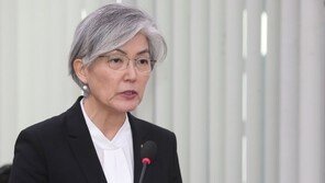 강경화, 북미회담 중재 계획 질문에 “여러 옵션 검토”