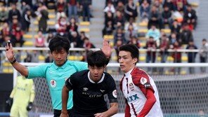 이렇게 뛰는 외국인 봤어?…알리바예프, 최용수 눈은 옳았다