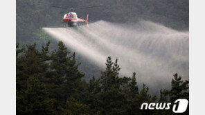 군산 나포 야산서 소나무 재선충병 발생…감염목 파쇄