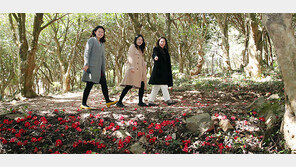 “동백숲에 봄이 왔어요”