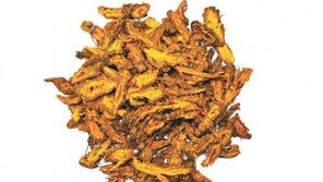 황사-미세먼지에 지친 몸, 천연식물로 다스린다