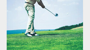 헤드무게-샤프트 자유자재로… “주말골퍼도 원하는 스윙을”