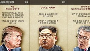 靑 ‘조기수확’ 제안 이어… 강경화 “대북제재 단계 완화 살아있다”