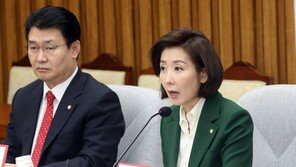 나경원 “연동형 비례제는 여의도 최대 수수께끼”