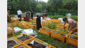 서울시, 도시농업공동체 100개 지원…최대 200만원