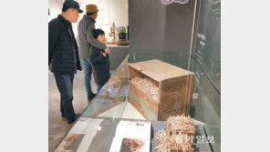 성냥으로 만든 전시물 눈길