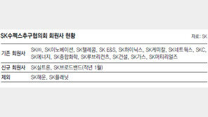 SK 컨트롤타워 새 식구 영입…‘반도체 웨이퍼 생산’ 실트론 합류 