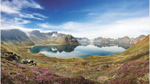 꽃들이 수놓는 ‘6월의 백두산’ 보러 가실래요?