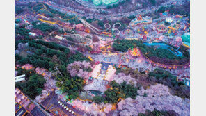 벚꽃축제에 세계 최대 어트랙션 오픈까지… ‘대구 이월드’로 오세요