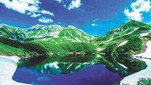 산악 트레킹 즐기며… 일본으로 떠나는 ‘벚꽃 여행’