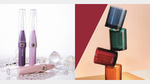 6만원대 칫솔-11만원대 전기주전자… “부담은 되지만 날 위해서라면” 