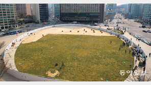 잔디옷 입는 서울광장