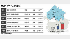 경기북부, 올해 3만 가구 분양… 12년 만에 최다