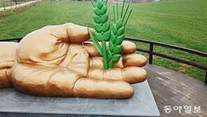 [고양이 눈]보리, 보리, 보리!