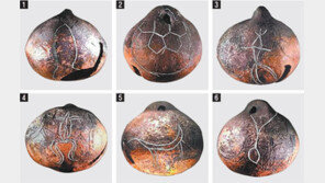 고령 지산동 대가야 고분군서 가야 건국설화 새긴 토제방울 발견