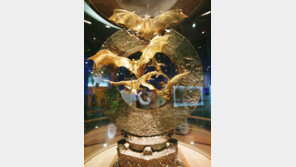 85억 짜리 황금박쥐 훔치려던 일당 중 2명 구속영장 신청