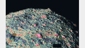 소행성 가보니… 한 곳은 ‘축축’, 다른 곳은 ‘바짝’