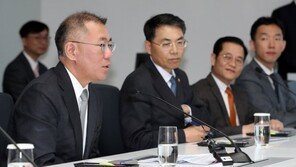  정의선, 현대차·모비스 대표이사 선임…20년 만에 ‘정의선호’ 출범