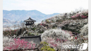 섬진강변 매화마을, ‘멋진 봄 풍경 아시아 23곳’ 포함