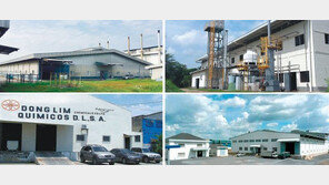 글로벌 시장에 한국 염색 우수성 알려…“전통과 혁신의 조화로 승부”