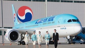 주총·회계 이슈에 냉온탕…파고 넘는 ‘항공 빅2’