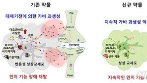 “장기간 인지장애 개선”…‘치매치료’ 신약 후보 찾았다