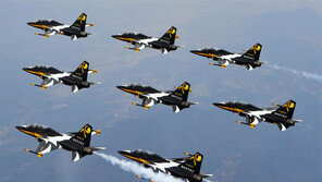 공군 창설 70주년… 기념 이미지 입은 블랙이글스