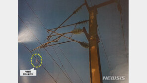 KTX 오송역 전차선 단전사고 관련 시공사 대표 등 4명 입건