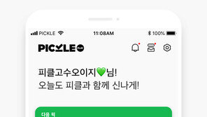 무료 참여·야구 결과 적중 시 상금 주는 ‘피클 플레이’ 화제