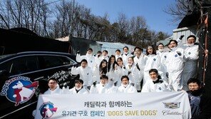 캐딜락코리아, 유기견 보호소 봉사활동 진행…사료 16톤 전달