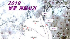 여의도 봄꽃축제 5일 개막…11일 마지막날 만개할 듯