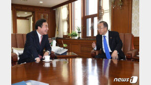 이낙연 총리, 반기문 전 총장과 면담…한중총리회담·미세먼지 논의