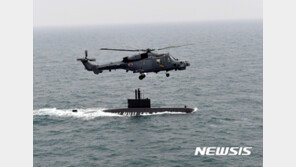 1조원 규모 해상작전헬기 2차 사업 ‘와일드캣-시호크’ 경쟁