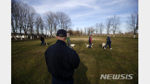 英형무소 마당 죽은 쥐 뜯어보니 마약과 휴대폰 가득