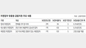 자영업자 ‘성장 가능성’ 인정땐 3억 대출