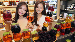 탄산 복분자주… 망치로 깨 먹는 술… 이색 전통주에 빠진 2030