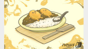 카레 먹으면 젊어진다?…매일 2스푼 먹으면 ‘활성산소’ 뚝