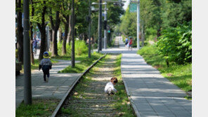 서울시, 나무 3000만 그루 심어 ‘도시숲’으로 만든다