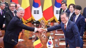 文, 국빈방한 벨기에 국왕과 정상회담…한반도 평화 지지 당부