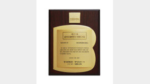 현대성우쏠라이트, 2019 브랜드스타 수상