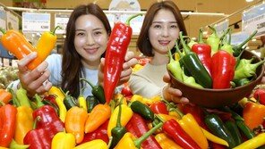 “롯데마트에서 알록달록 이색 채소를”