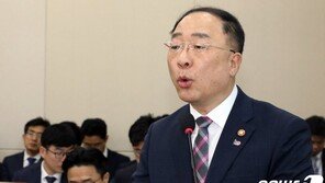 홍남기 “미세먼지 추가재원 필요 없어도 경기 대응 추경 고려”