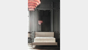 한국인 체형에 최고소재 조합… 프리미엄 매트리스 대명사로