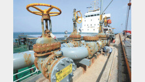 부두 바닥 곳곳 깨지고 녹슬고… 낙포부두 리뉴얼 사업 시급